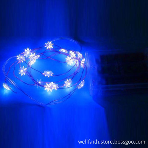 1m 10pcs LED Rice LED Mini Copper String Light for Lighting Decoration